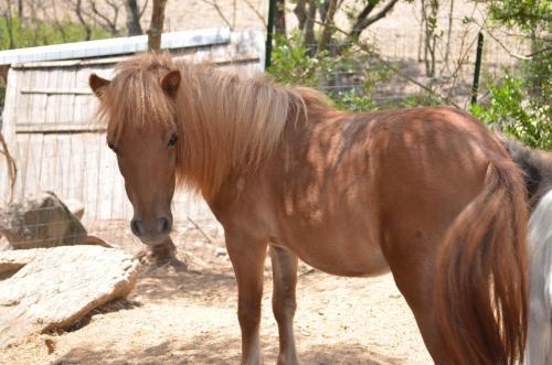 gallery_image_hidden_22