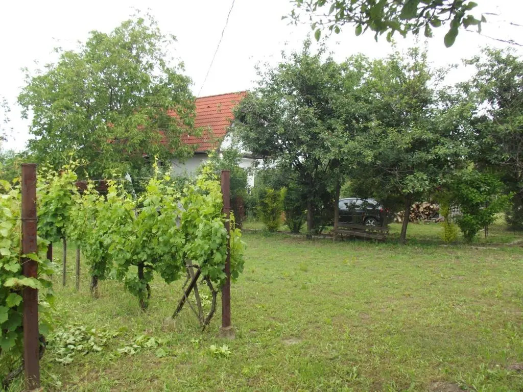 Cottage