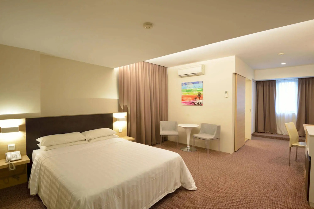 VIP Hotel (SG Clean Certified) - Général