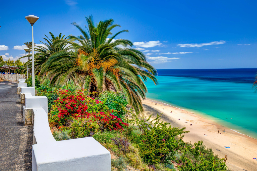 Beach & Waterfront