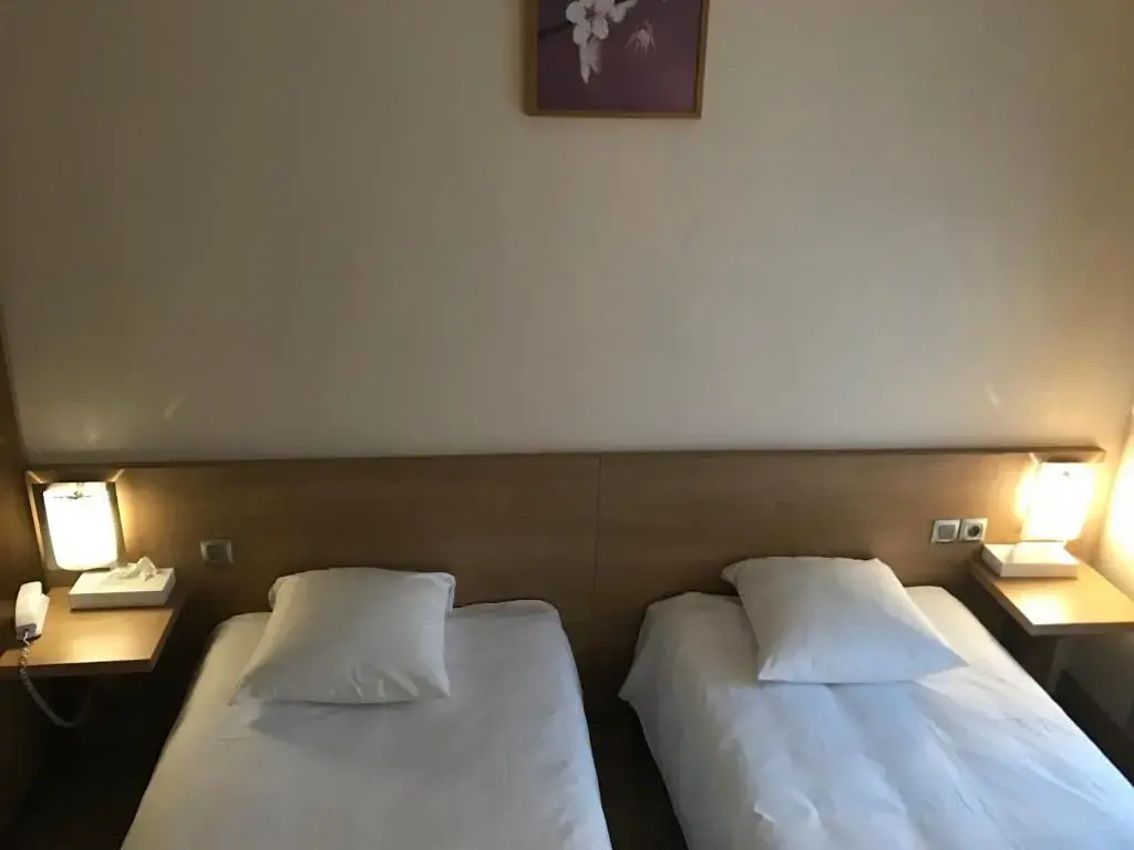 Standard Double room (twin beds)