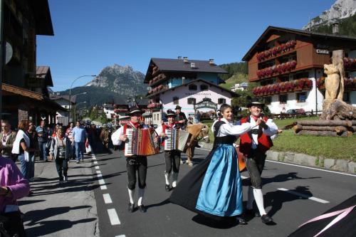 Image 15