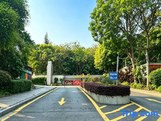 Scenic Homestay in Xiamen