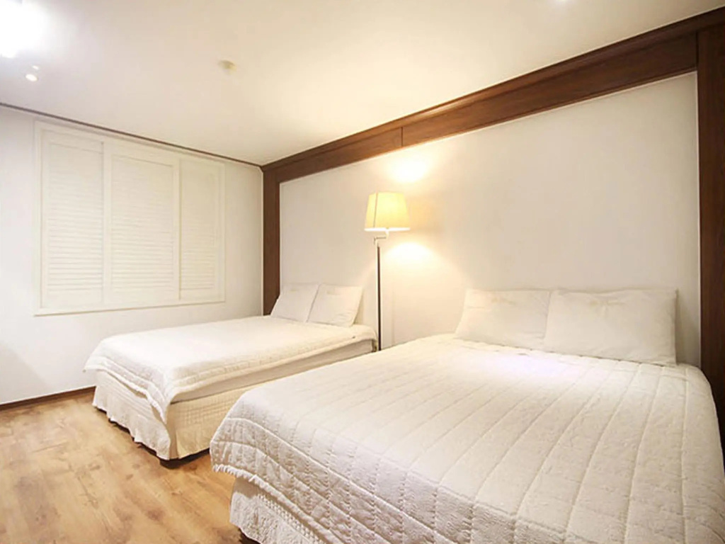 Deluxe Double room (twin beds)