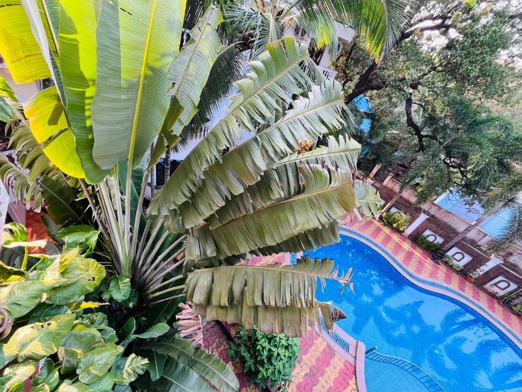 Naga Cottages