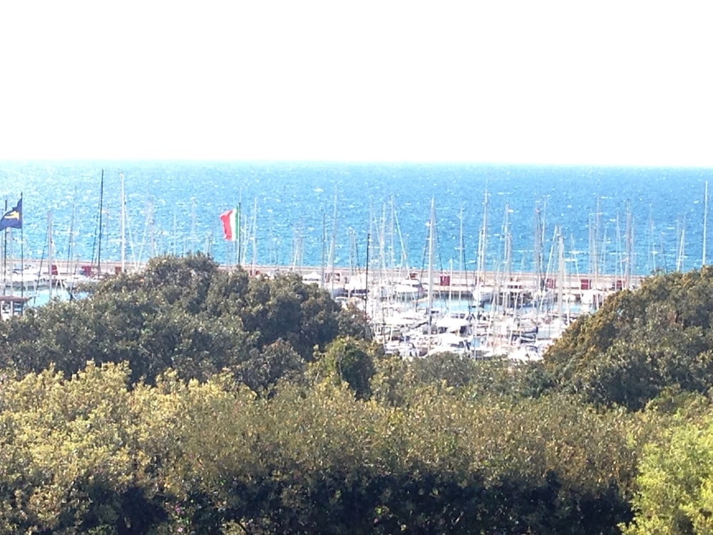 Beach & Waterfront