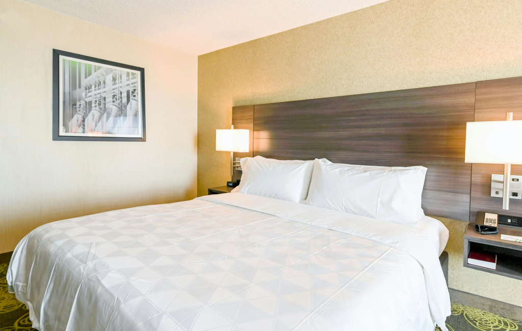 Holiday Inn Charlottesville-Univ Area by IHG - Général