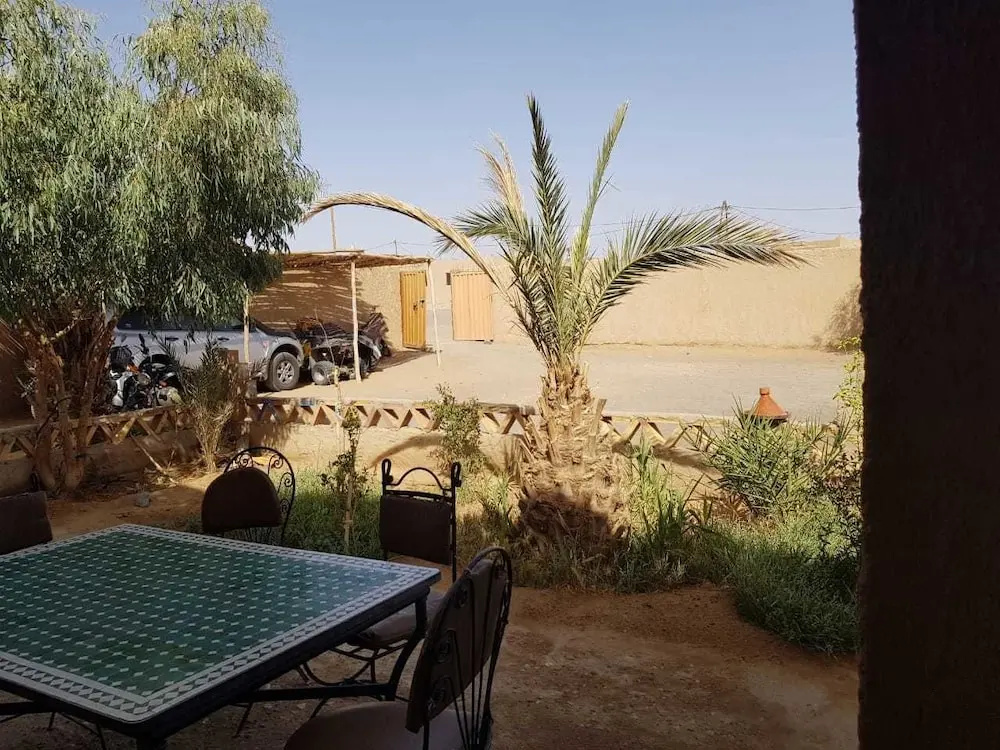 Riad Desert Camel