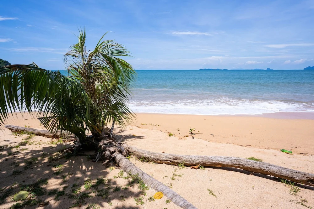 Beach & Waterfront