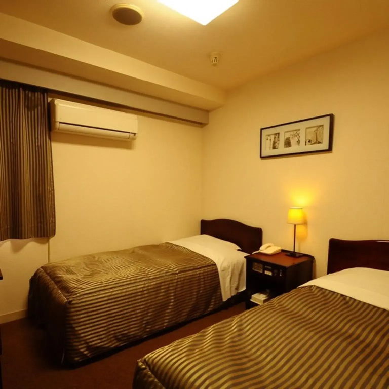 Standard Double room (twin beds)