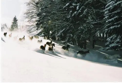 Hotel Le Mont Saint Jean