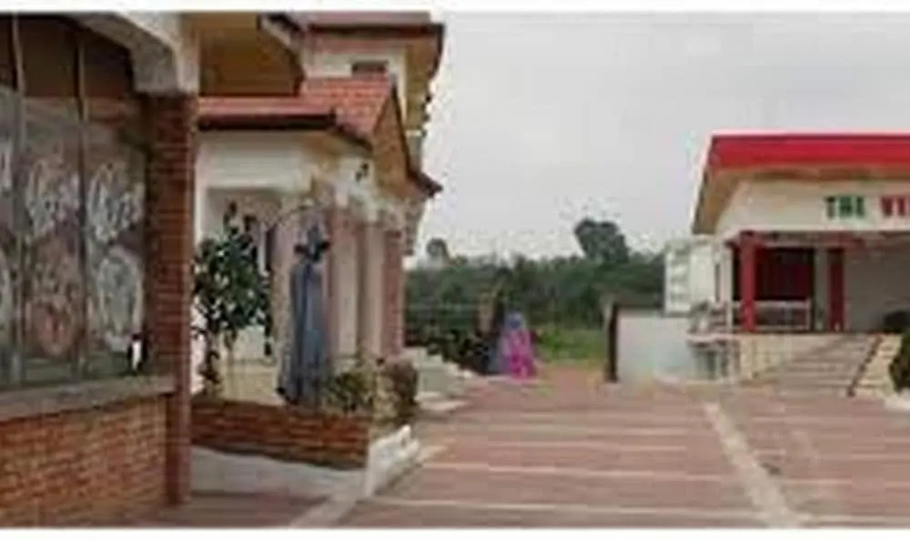 True Vine Hotel