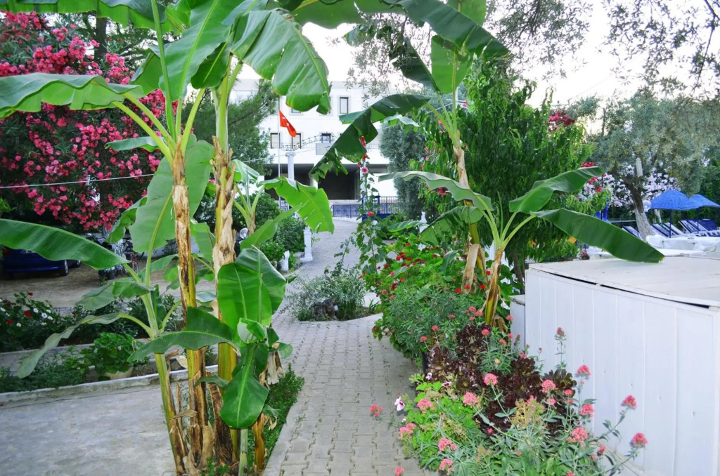 Hotel photo 26