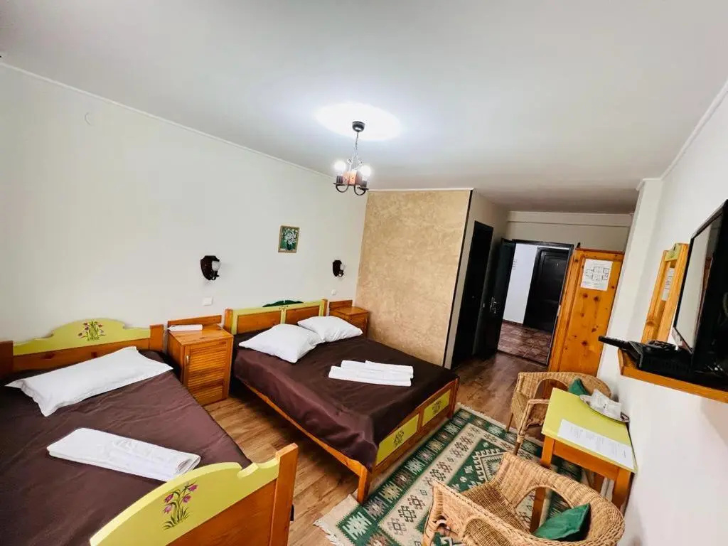 Pensiunea Casa Boiereasca - Chambres