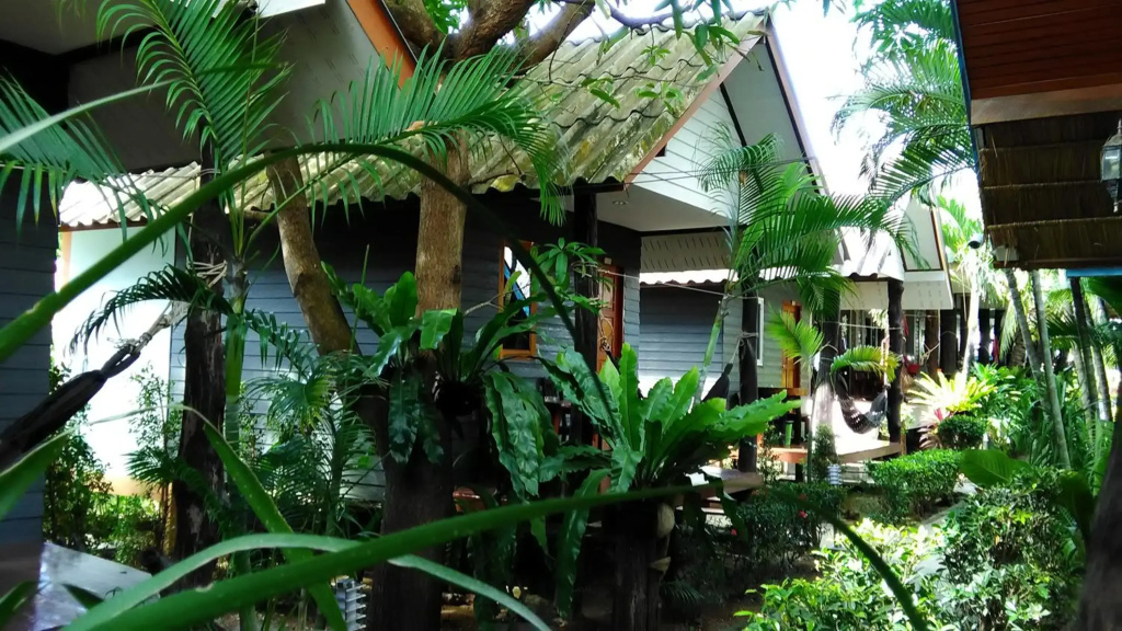 New Coconut Bungalow