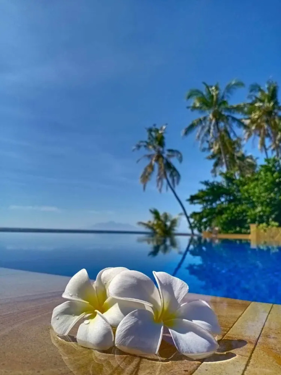 ABWonderdive Beach Resort - фото 15
