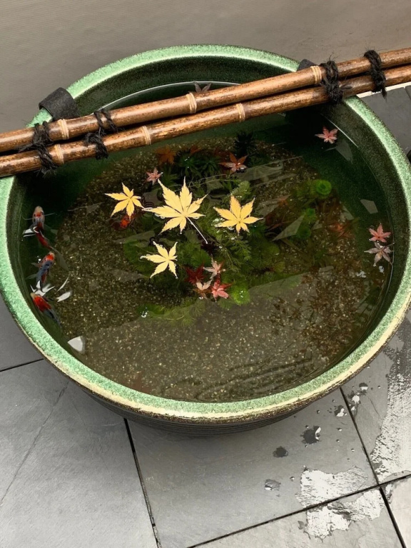 Shinjuku Miyabi Residence 사진 16