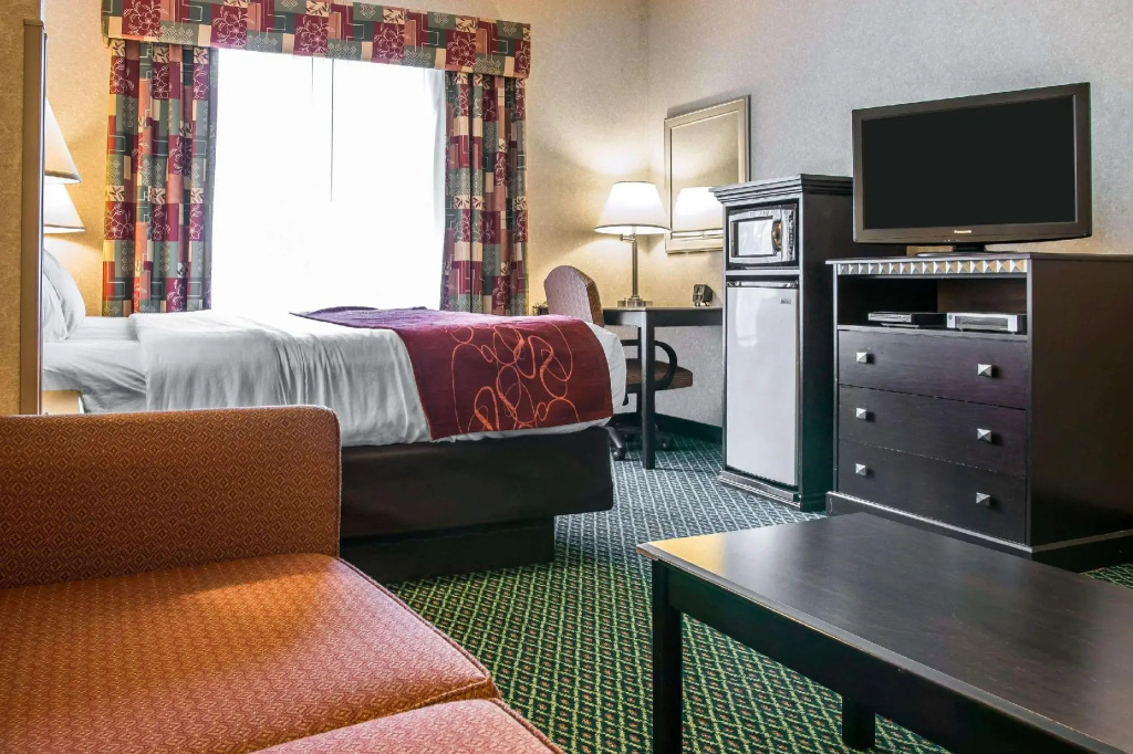 1 Bedroom Suite