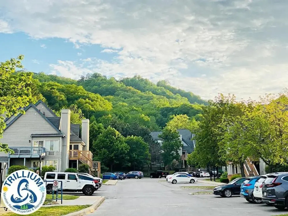 Cozy Studio Loft with 2 Bath - фото 14