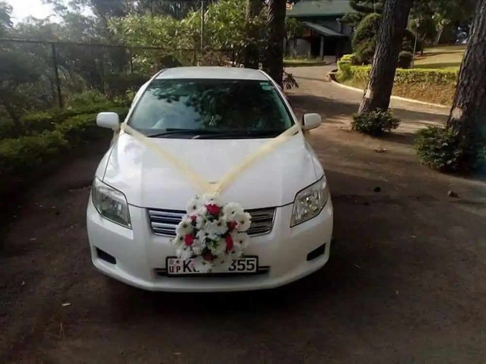 Ella Taxi