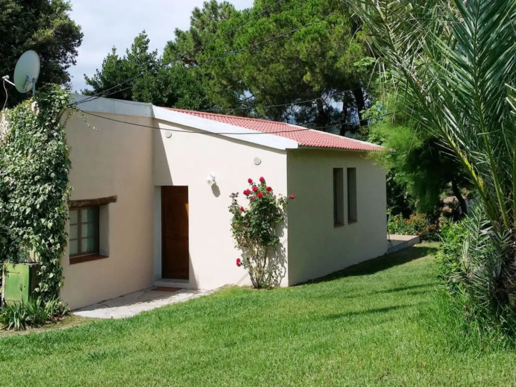 Rutili (CTN260)