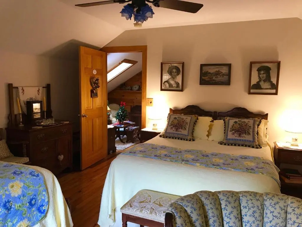Deluxe Double room (full double bed)
