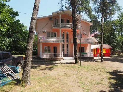 Alfa Shekvetili