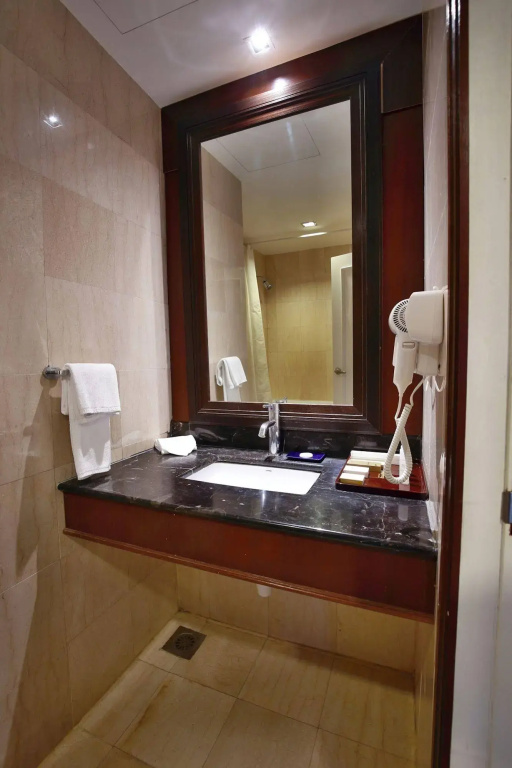 The Regency Hotel Kuala Lumpur - Général