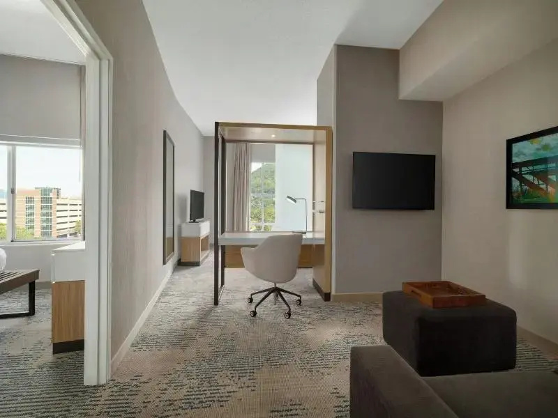Suite with mountain view
