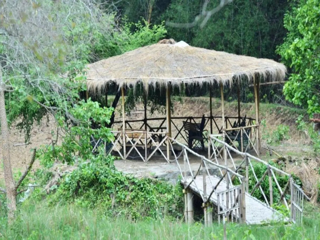 Jungle Hut Resorts - Général