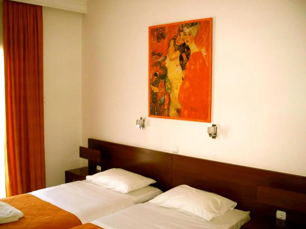 Standard Double room (twin beds)