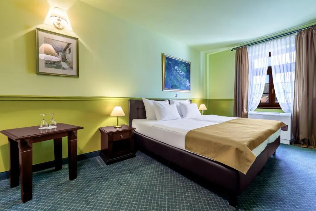 Standard Double room with mountain view (full double bed)