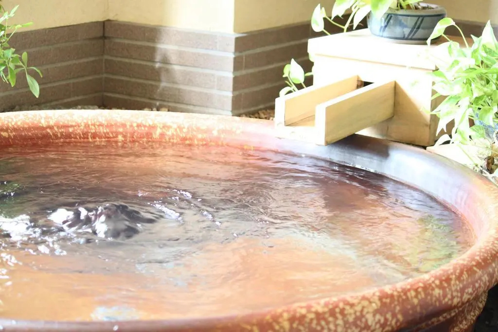 Spa & Wellness