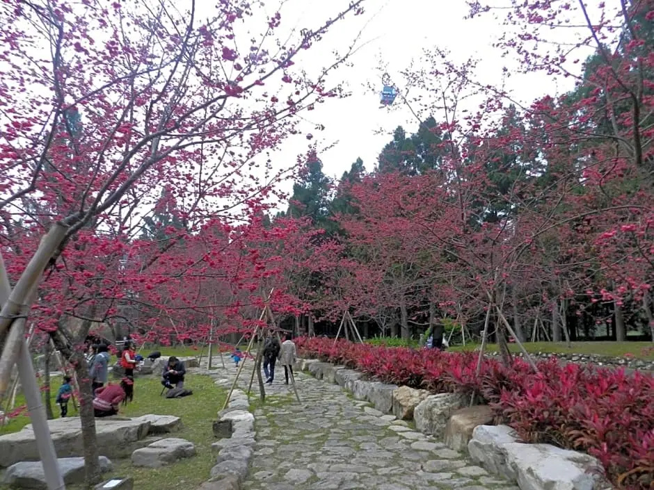 日月潭 Yong Guan