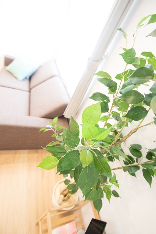 Apartment Hotel Tenjin Tumugu 사진 16