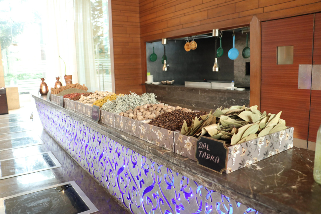 Holiday Inn Chandigarh Panchkula - фото 28