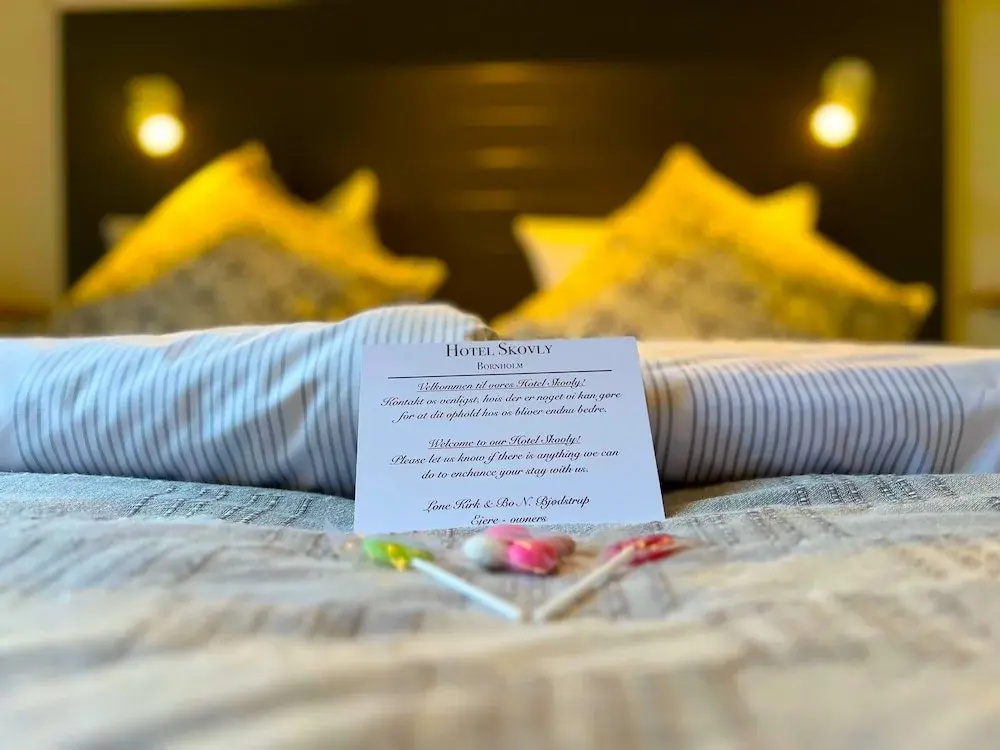 Hotel Skovly - Chambres