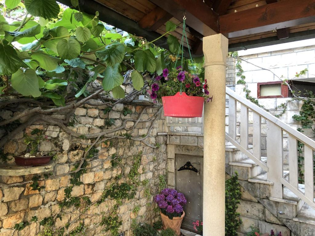 Flower House - Lapad