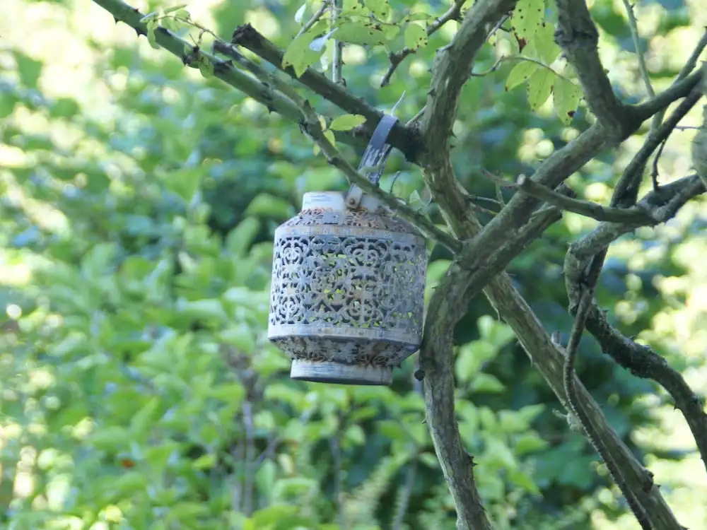 Elegant Holiday Home In Niderviller Near Forest