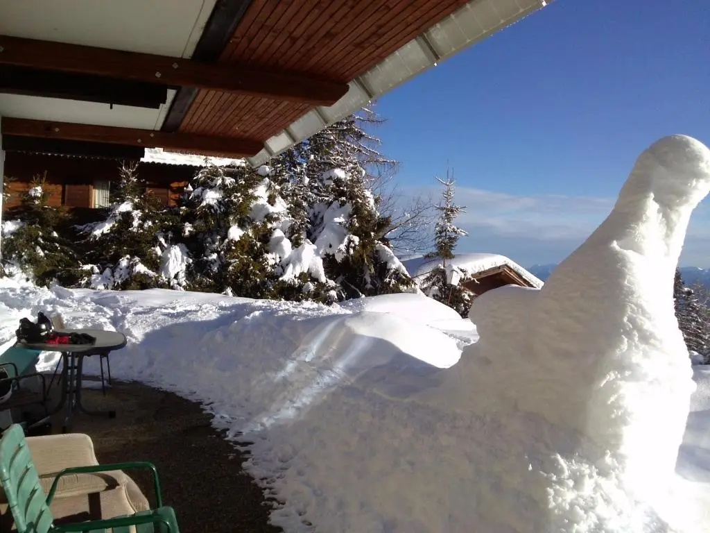 Almhaus Florian - Général
