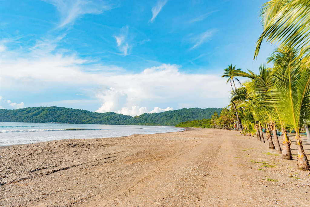 Barceló Tambor - фото 29