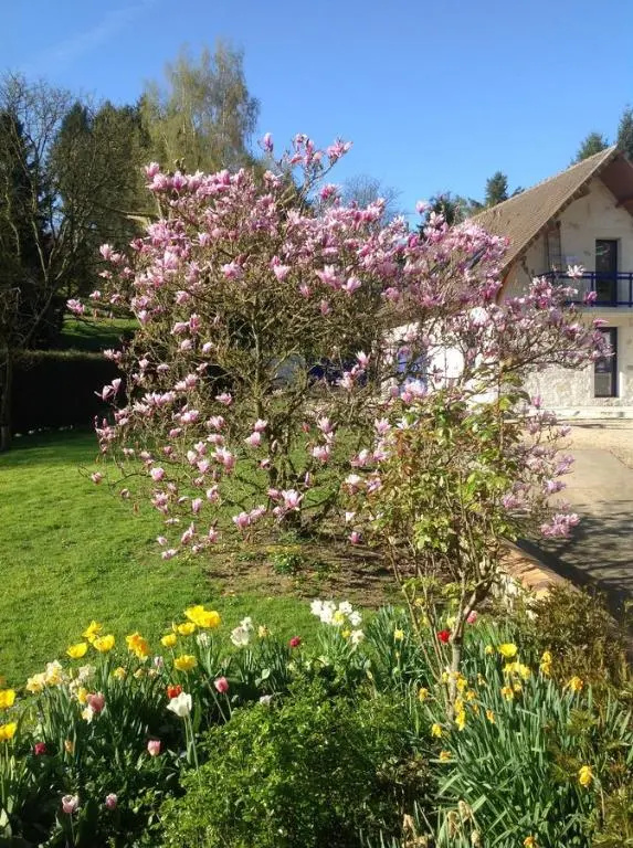 Voir la photo 3 — Serenity