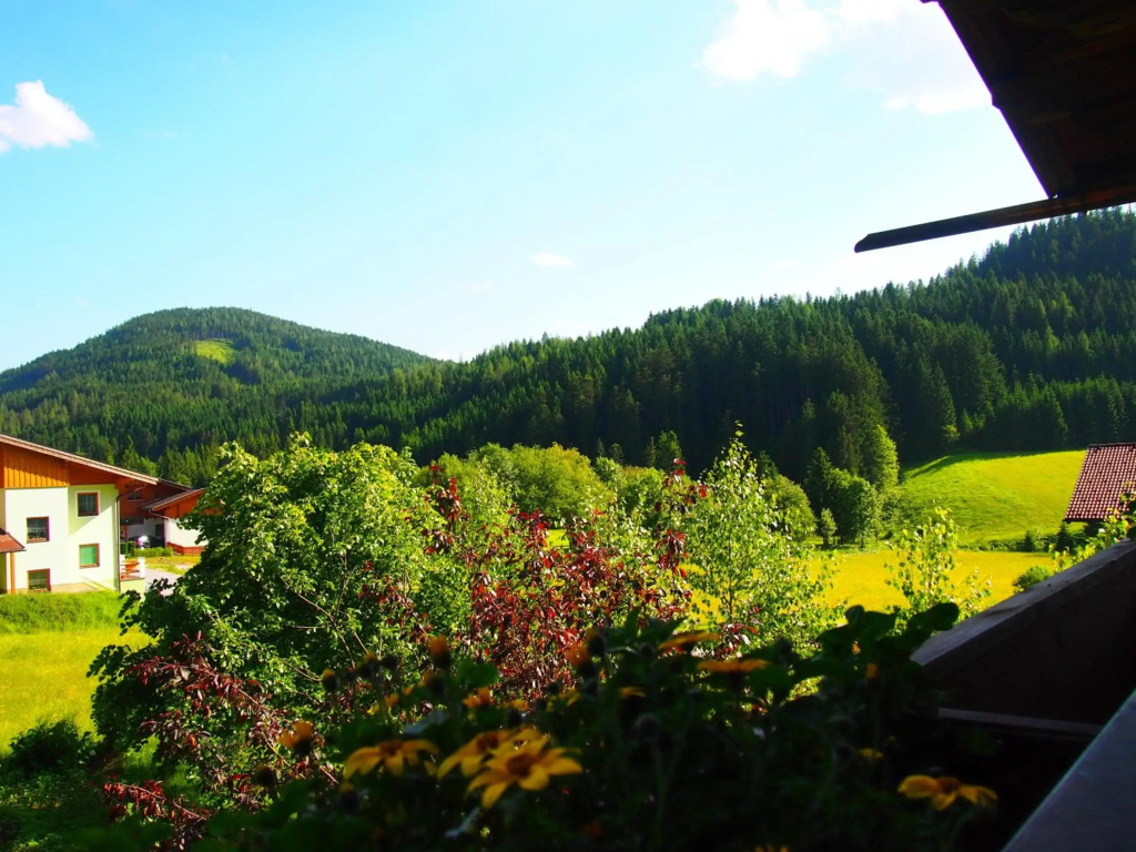 Appartment Kainhofer