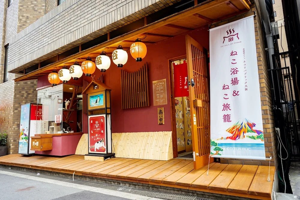 Cat Spa & Cat Ryokan Neco Republic Osaka