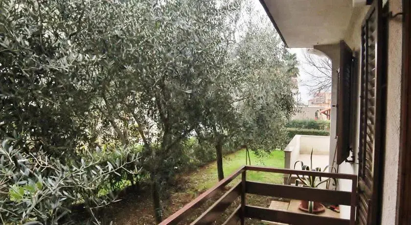 Apartment Ceh 397