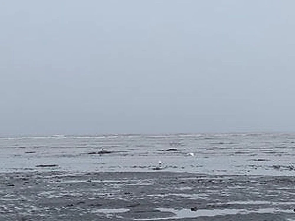 Navigateur St-luce - 2e Pont 22 - фото 10