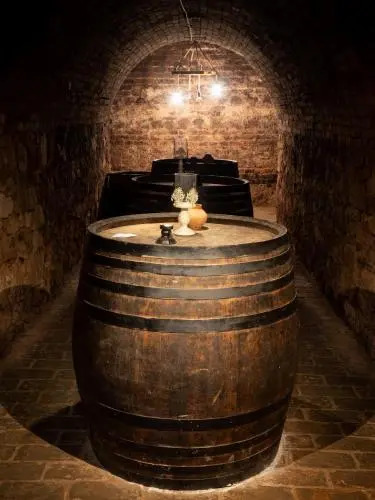 Hotel Cabernet - фото 18