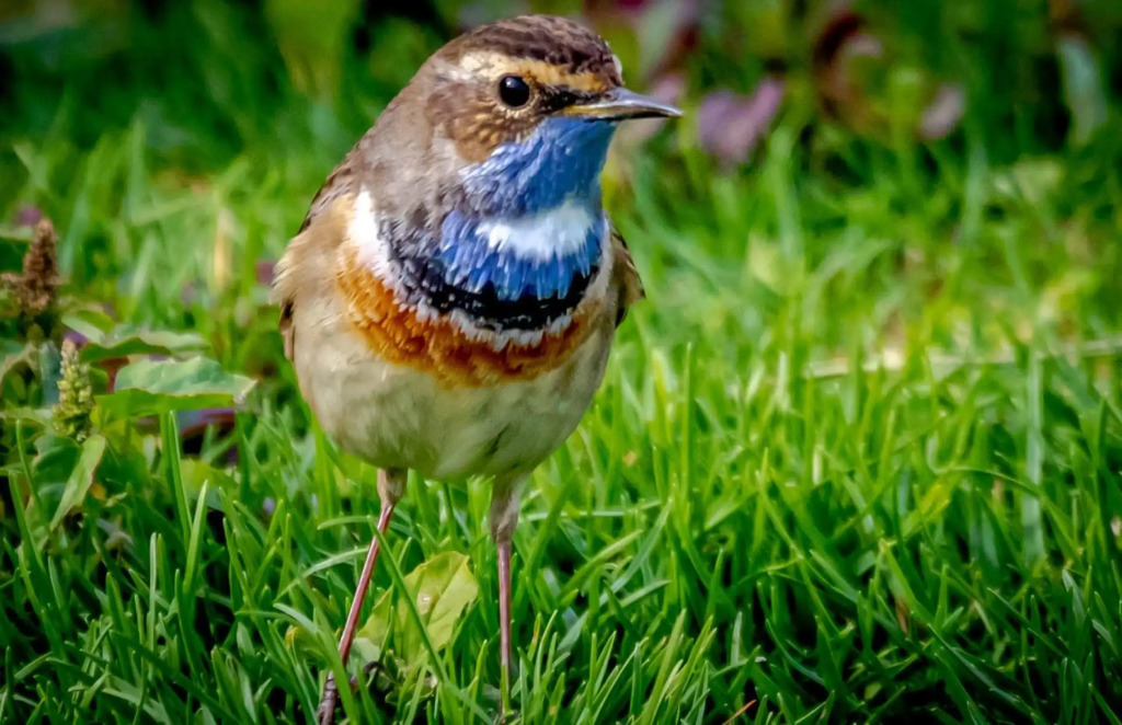 Silver Beach Boutique Hotel - фото 28