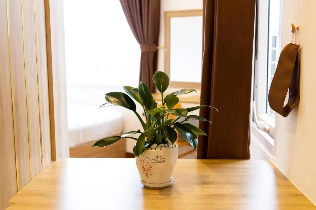 Hoang Loc Hotel - Chambres