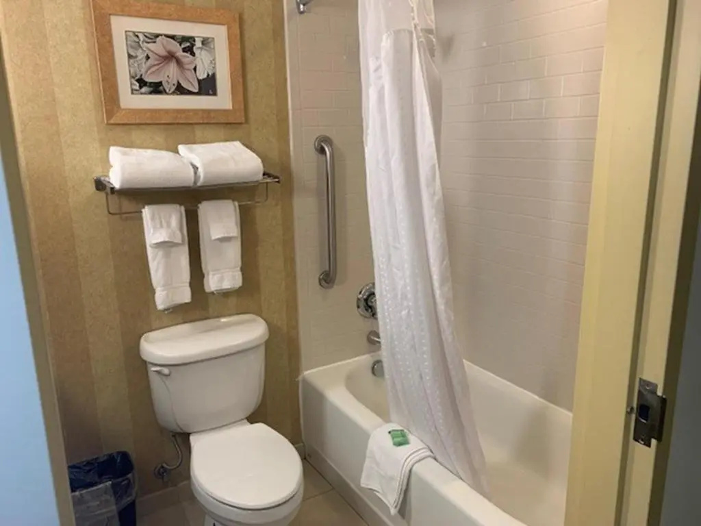 Holiday Inn St. Louis Fairview Heights by IHG - Chambres